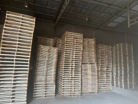 Pallet gỗ 20